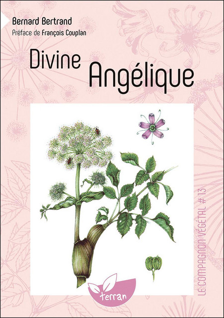 Divine Angélique - Bernard Bertrand - Éditions de Terran