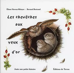 Les Chevêches aux yeux d'or