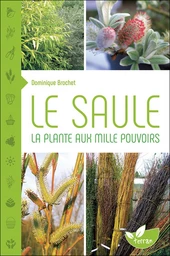 Le Saule 