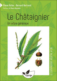 Le Châtaignier, un arbre généreux
